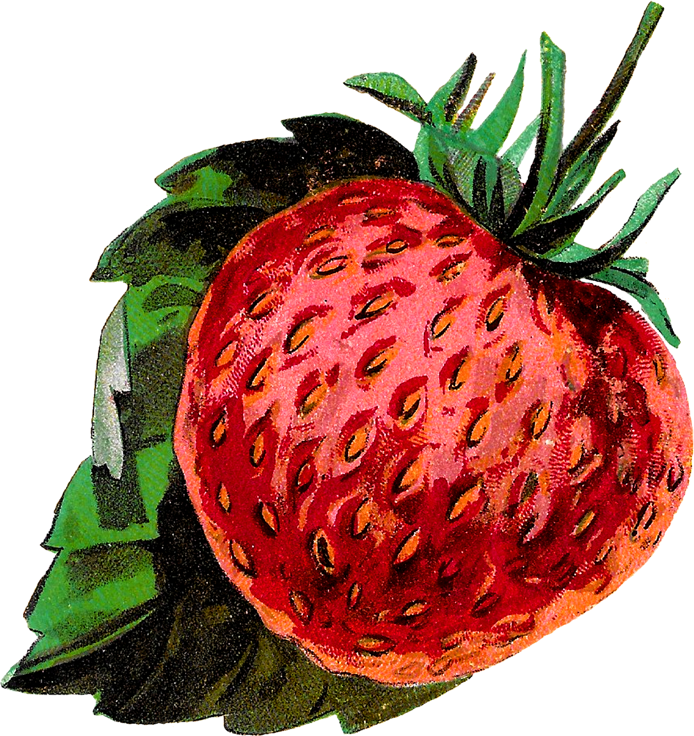Digital Strawberry Clip Art Downloads - Illustration (1600x1600)