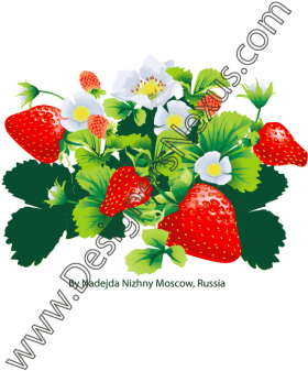 006- Free Vector Strawberry Graphic Flower Blossoms - Strawberry Bushes Clipsrt (316x409)
