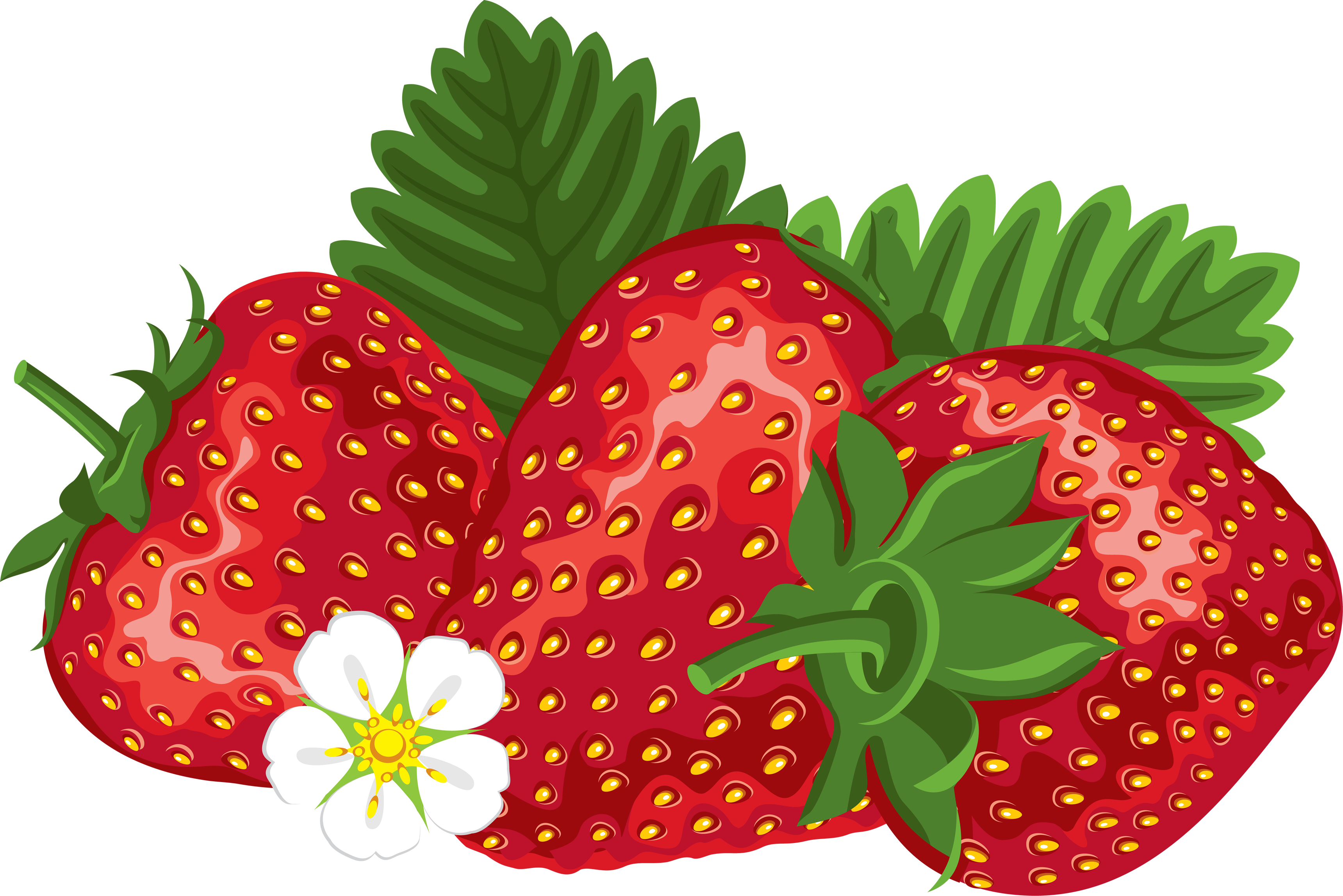 Strawberry Farmer Strawberries Clipart Free Clip Art - Strawberry Clipart (3439x2296)