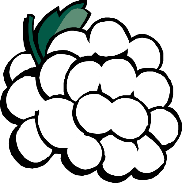 Grapes Black And White Clipart Clipart Kid - Clip Art Black And White Grapes (635x640)