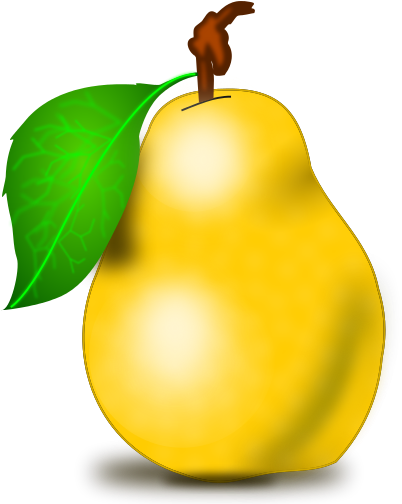 Pear Clip Art Png - Pear Fruit Clipart (405x510)