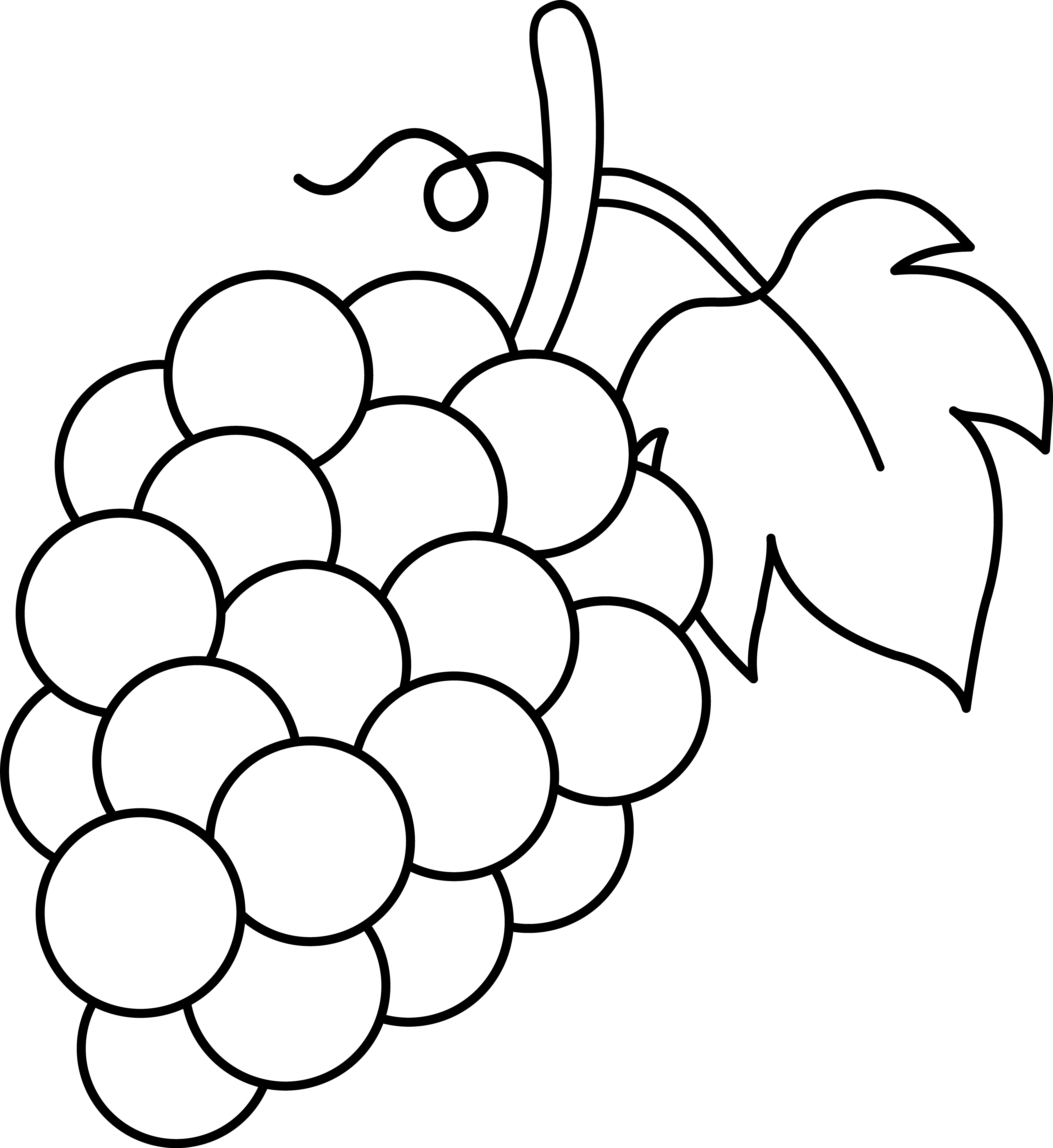 Pear Clip Art Black And White Download - Grapes Black And White (939x1024)