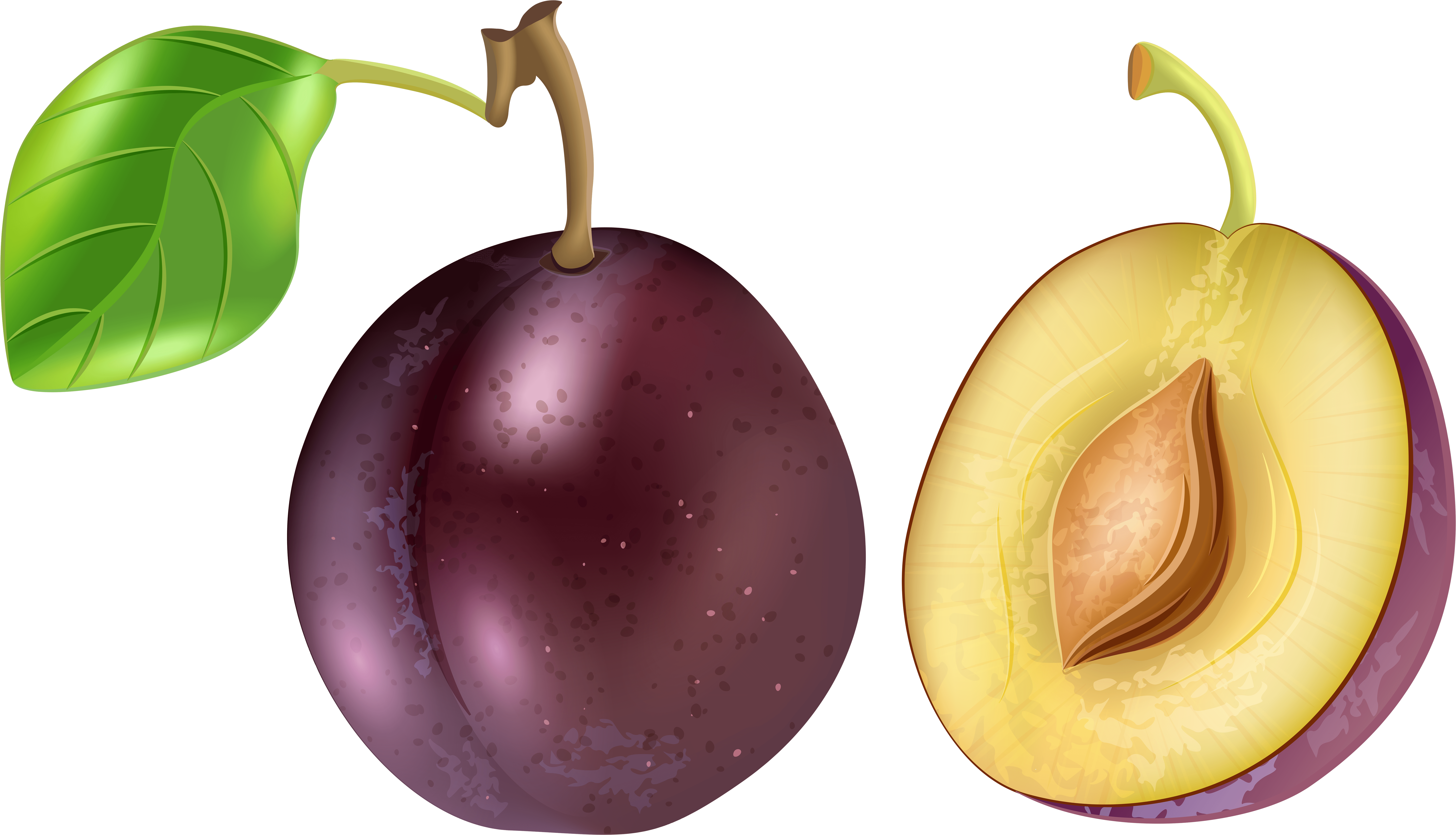 0, - Plum Clipart Png (8000x4690)