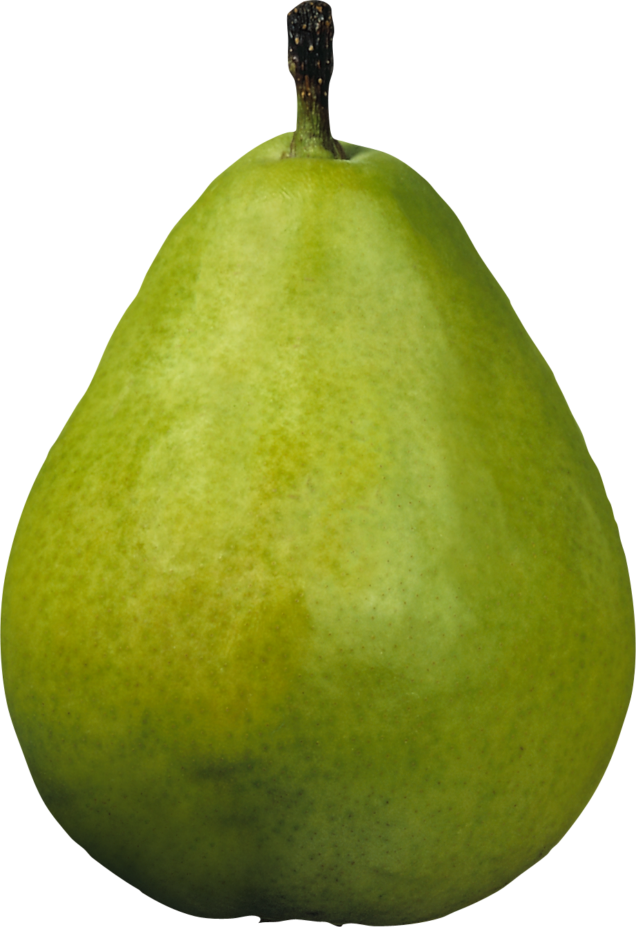 Pear Png Transparent Images - Pear Png (921x1343)