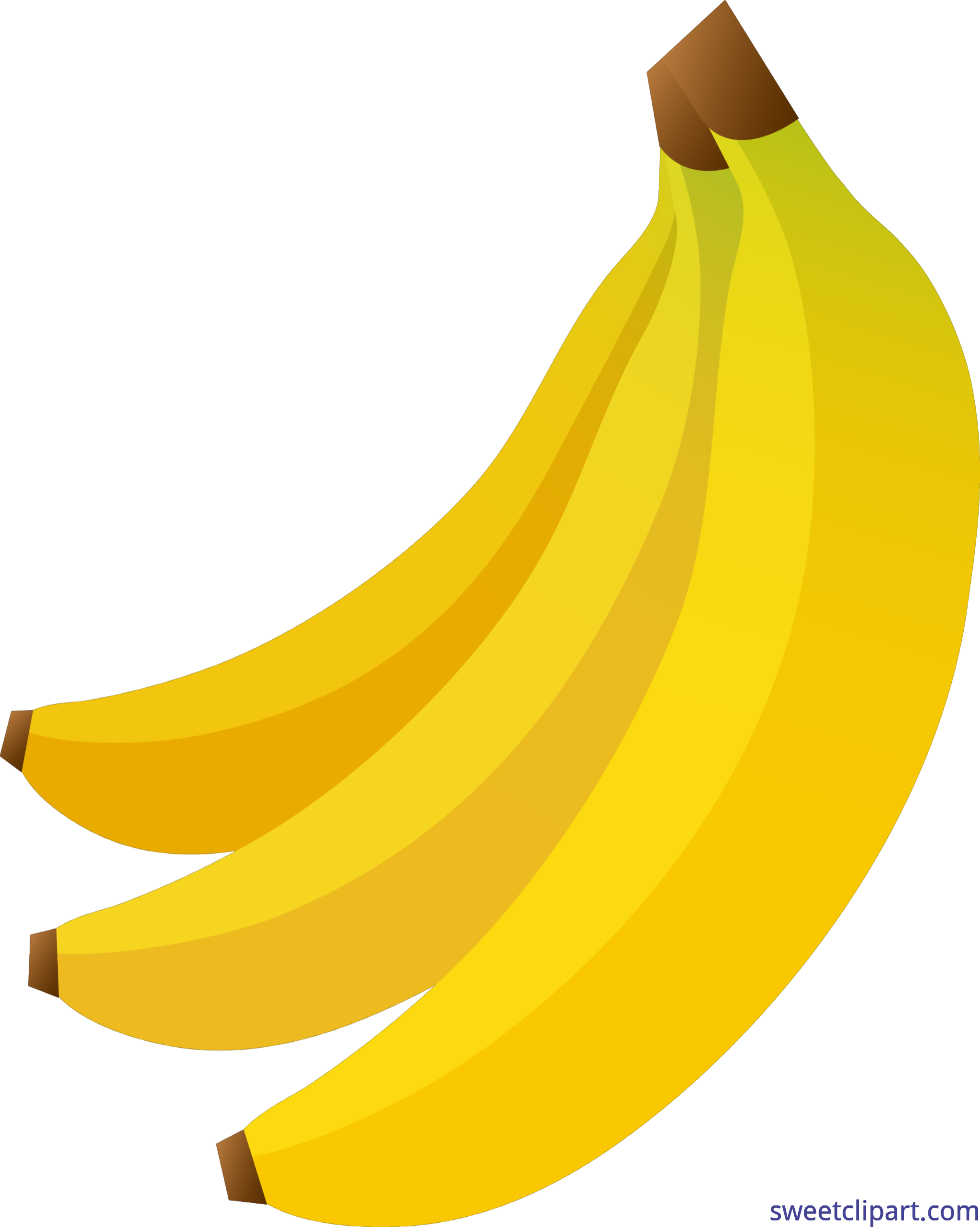 Bananas Bunch Clip Art Sweet Clipart - Banana Clipart Png (3596x4501)