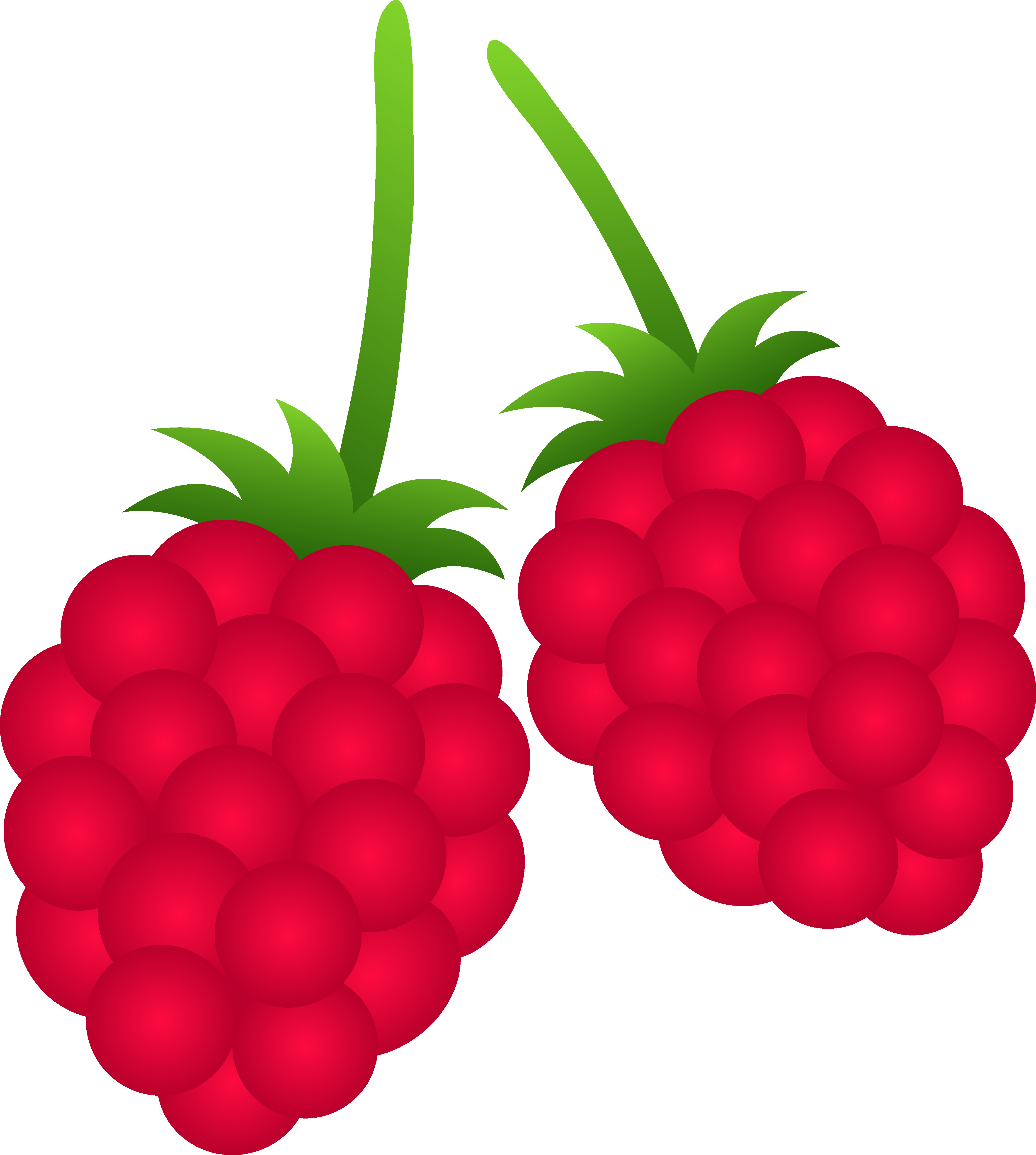 Two Raspberries - Berry Clipart (4571x5098)