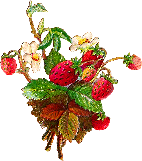 Free Fruit Clip Art - Wild Strawberries Clip Art (629x679)
