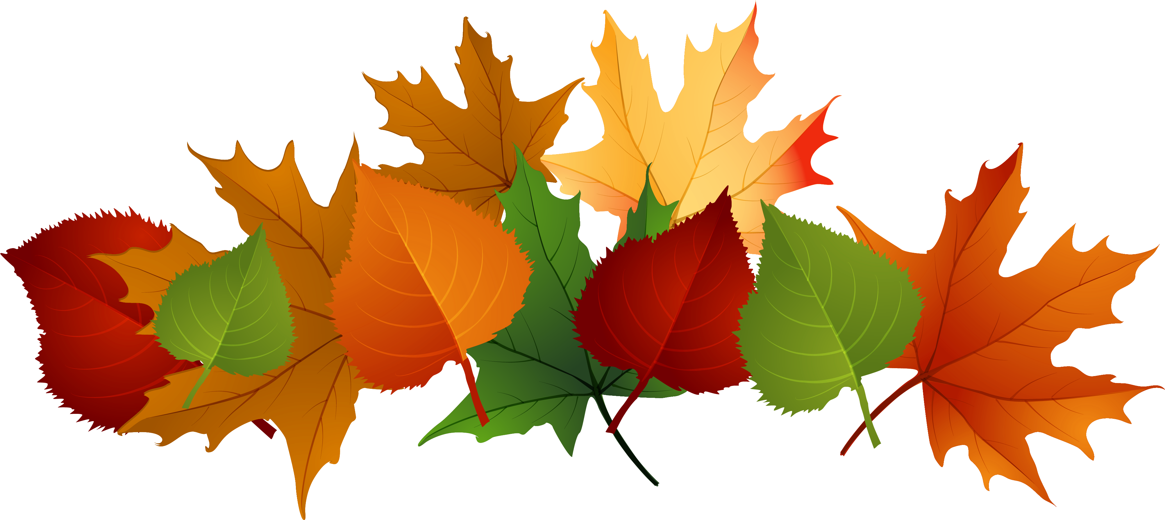 Transparent Autumn Clipart Collection - Fall Leaves Transparent Background (4153x1988)