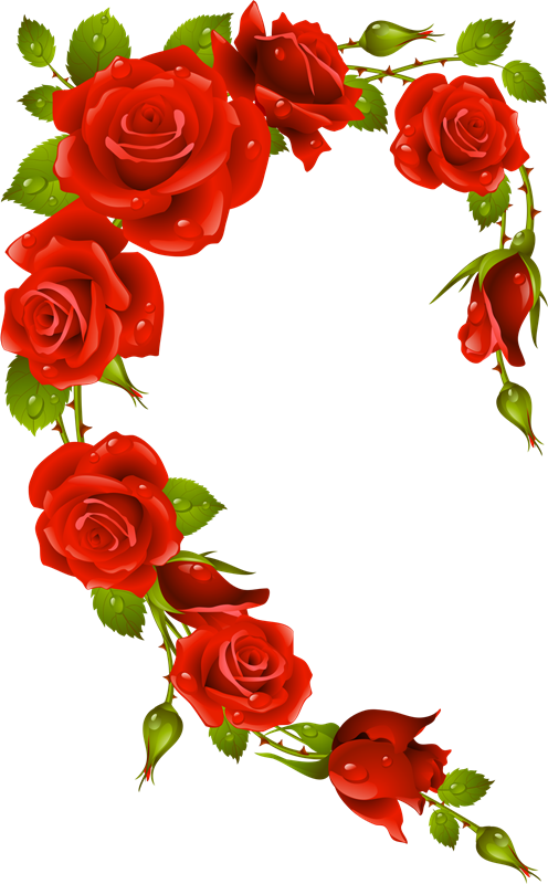 Corazones (496×800) - Red Rose In Lover (496x800)