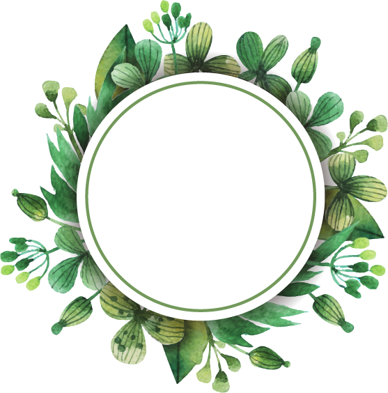 Flower Tulip Clip Art - Flower Tulip Clip Art (557x564)