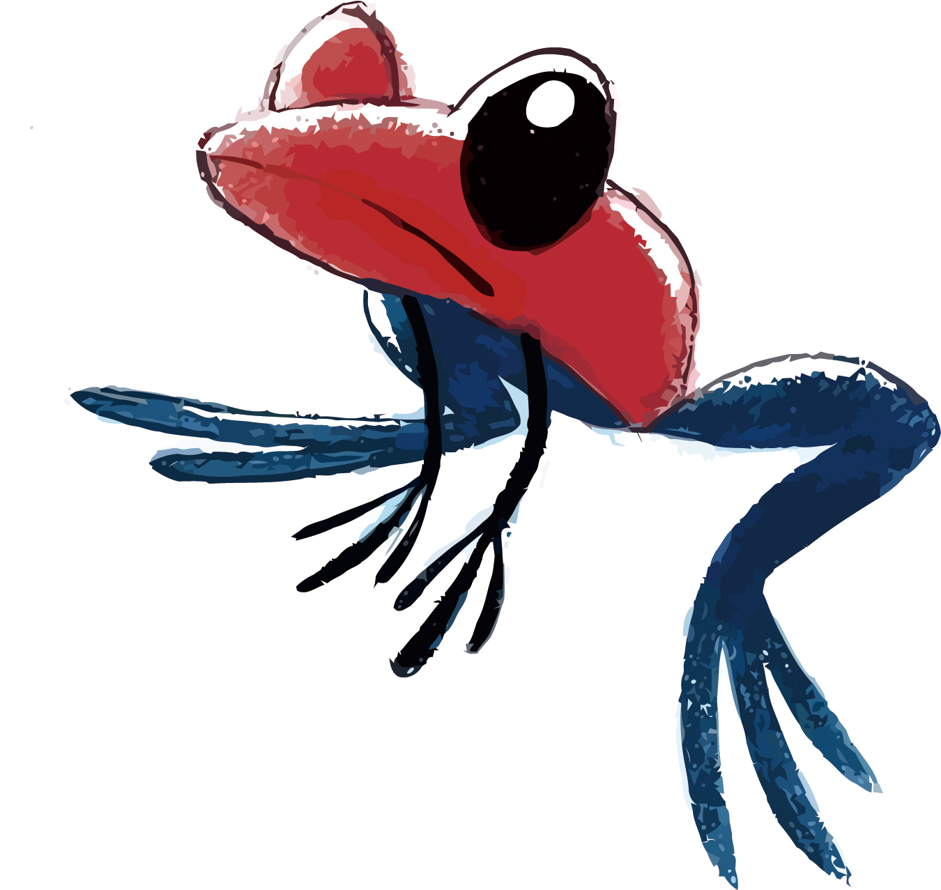 Strawberry Poison-dart Frog Poison Dart Frog Drawing - Strawberry Poison-dart Frog Poison Dart Frog Drawing (1500x1449)