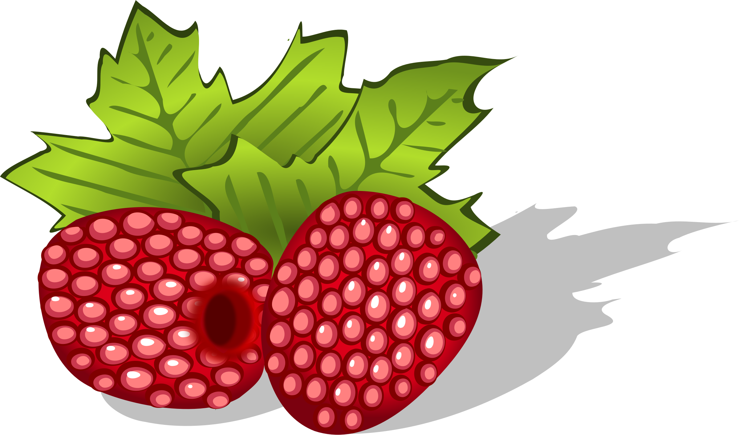 Get Notified Of Exclusive Freebies - Raspberries Clipart (2399x1414)