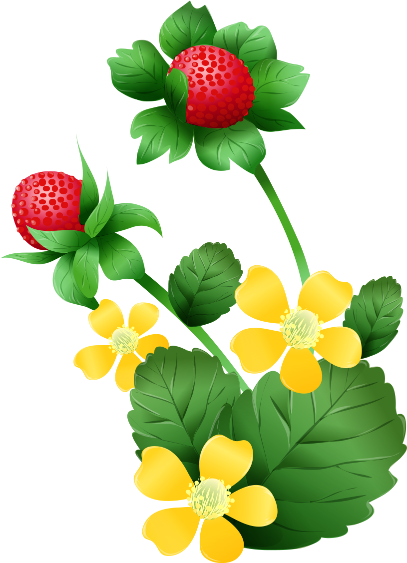 Strawberry Pie Mock Strawberry Clip Art - Strawberry Pie Mock Strawberry Clip Art (1181x1181)