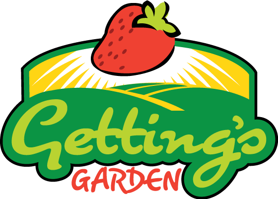 U-pick Strawberries - U-pick Strawberries (560x401)