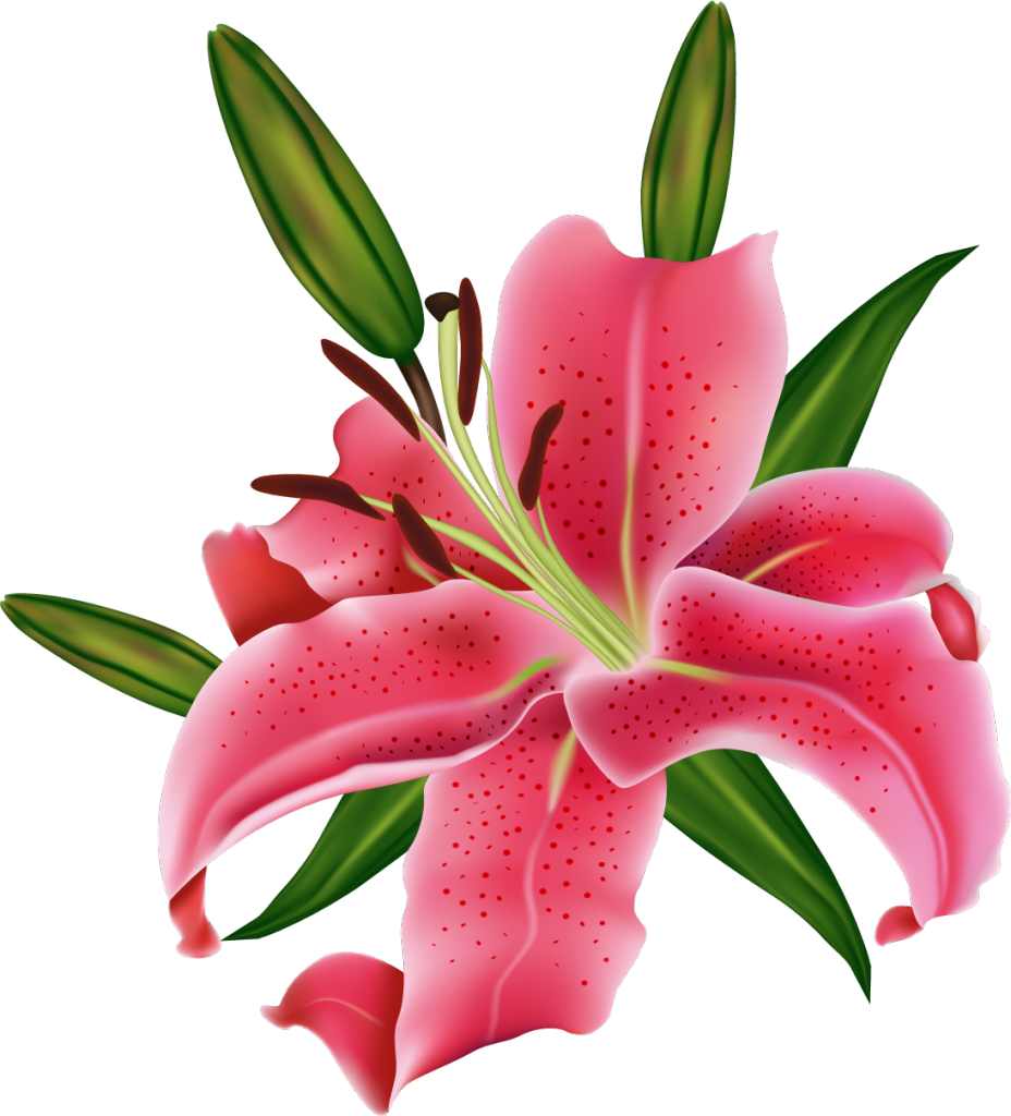 Цветы- - Royalty-free (928x1024)