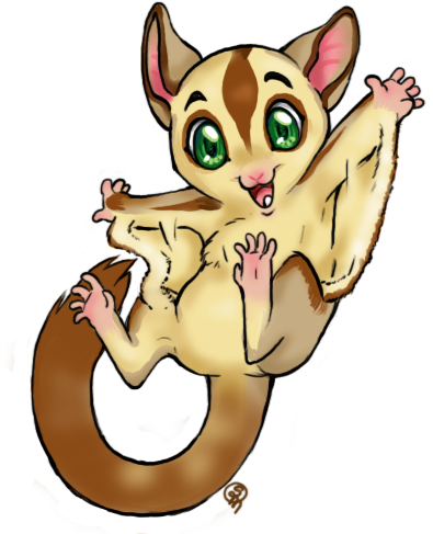 Glidergossip - Sugar Glider Clip Art Free (640x500)