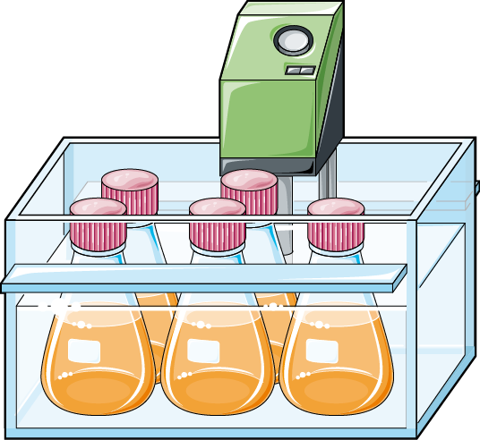 Bath - Bain-marie (536x492)