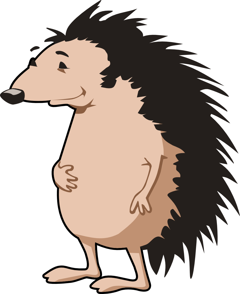 Hedgehog Png And Clipart Free Clip Art Images - Porcupine Clip Art (1969x2406)