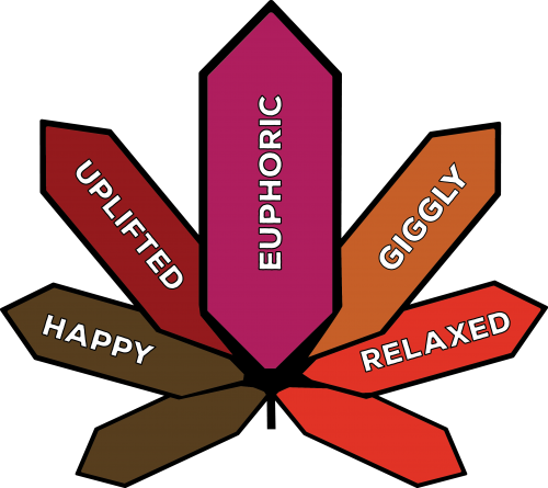 Hybrid Mood - Graphic Design (500x445)