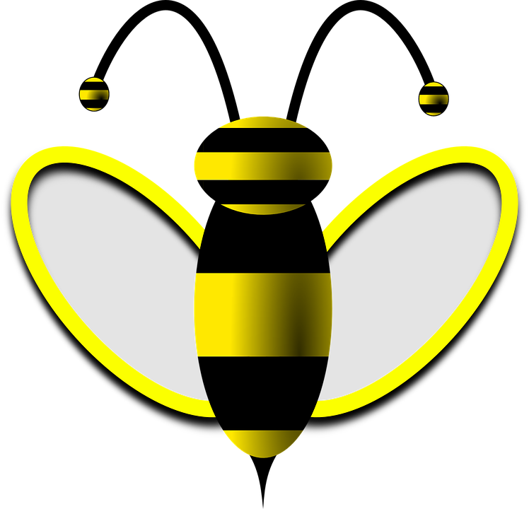 Honey Bee Clip Art Clipart - Clip Art (748x720)