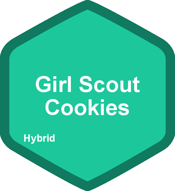 Girl Scouts Of The Usa (600x654)