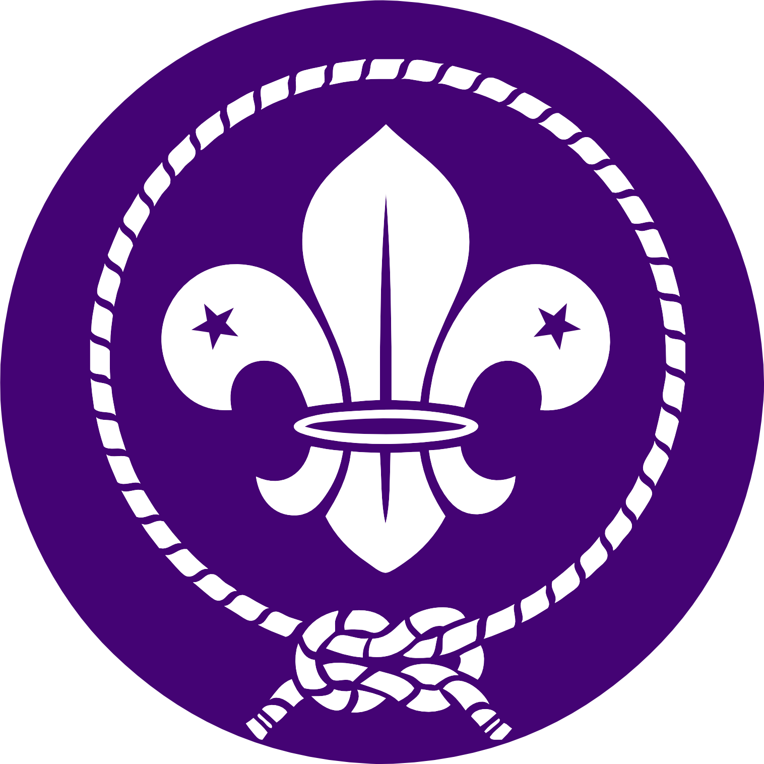 Concursos, Concursos Para Todos - World Scout (1516x1516)