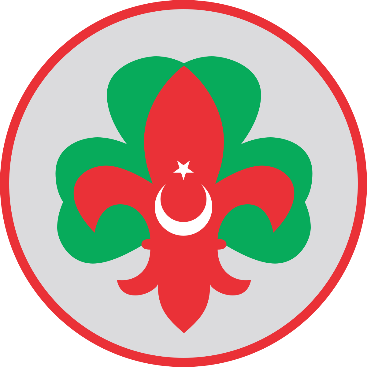 Scouting And Guiding Federation Of Turkey (1200x1200)