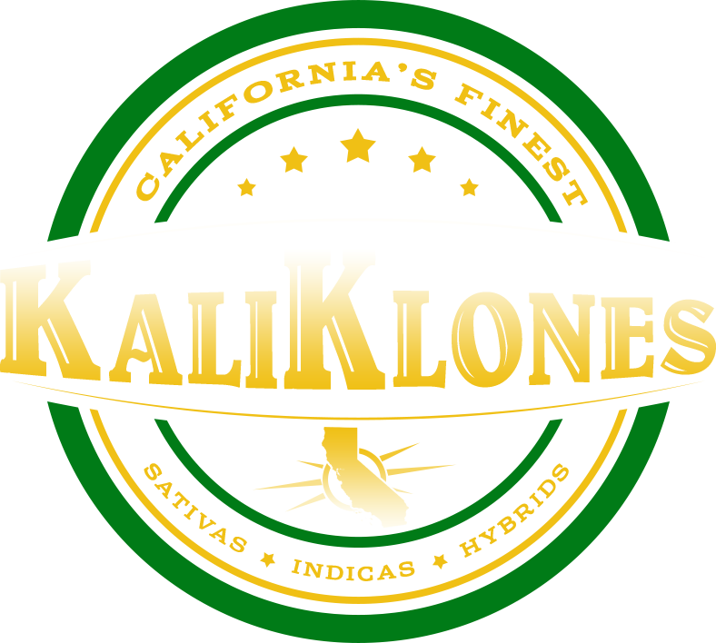 Kaliklone - Jack Herer (788x708)