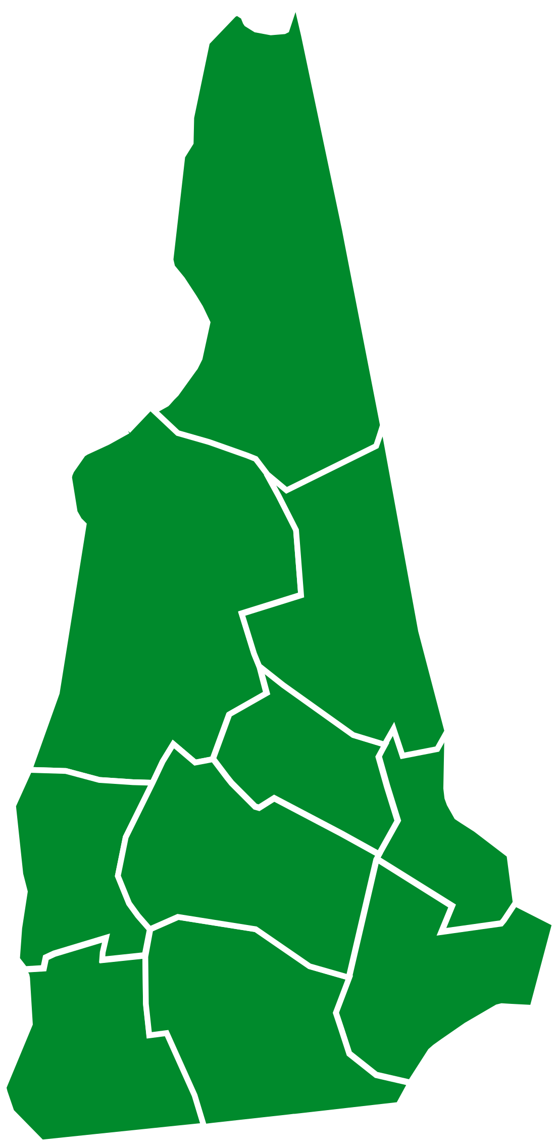 New Hamphsire 2016 Election (1200x2456)