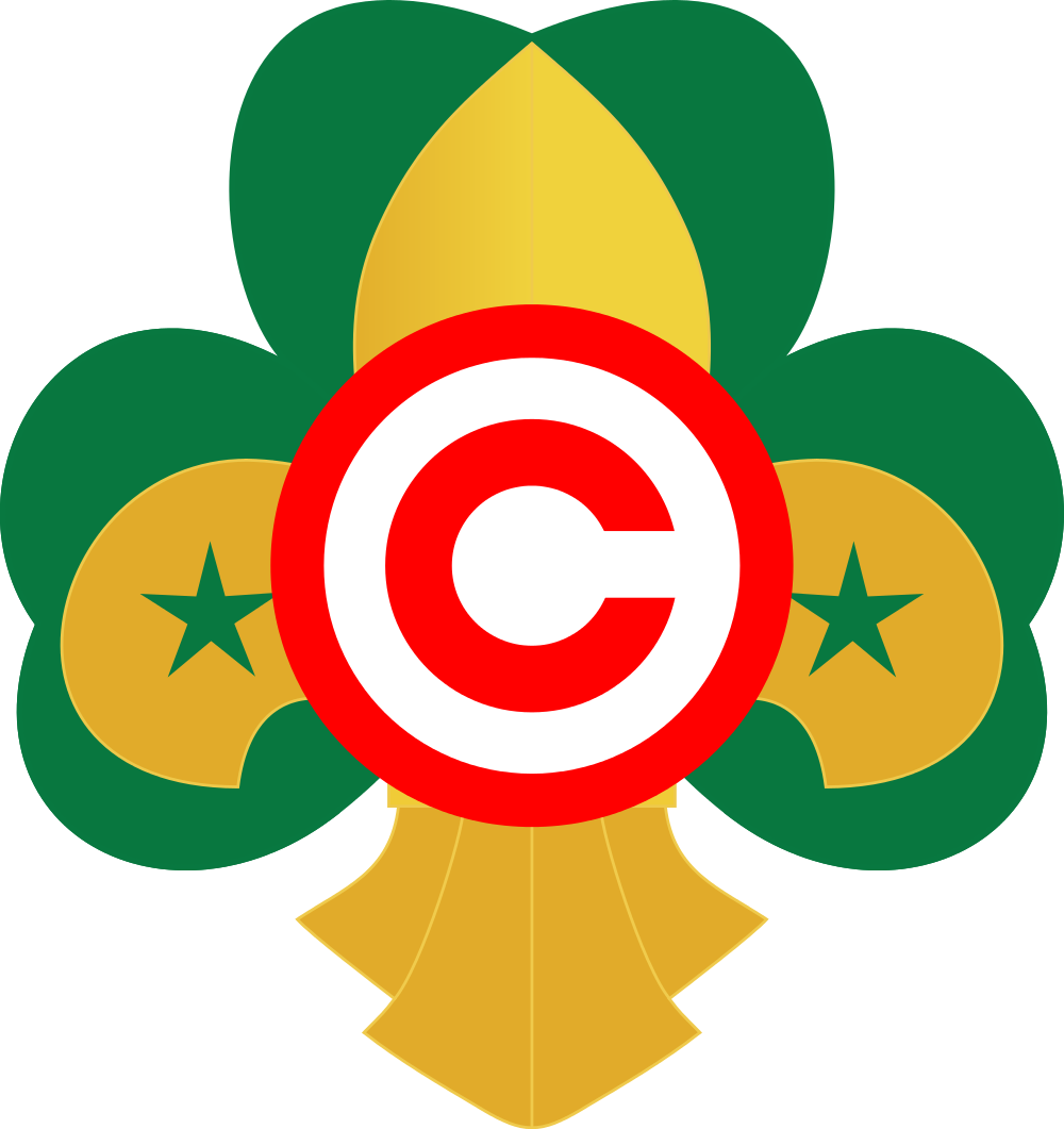 Scouting Fleur De Lis Boy Scouts Of America Girl Scouts - Scouting Fleur De Lis Boy Scouts Of America Girl Scouts (2000x2123)