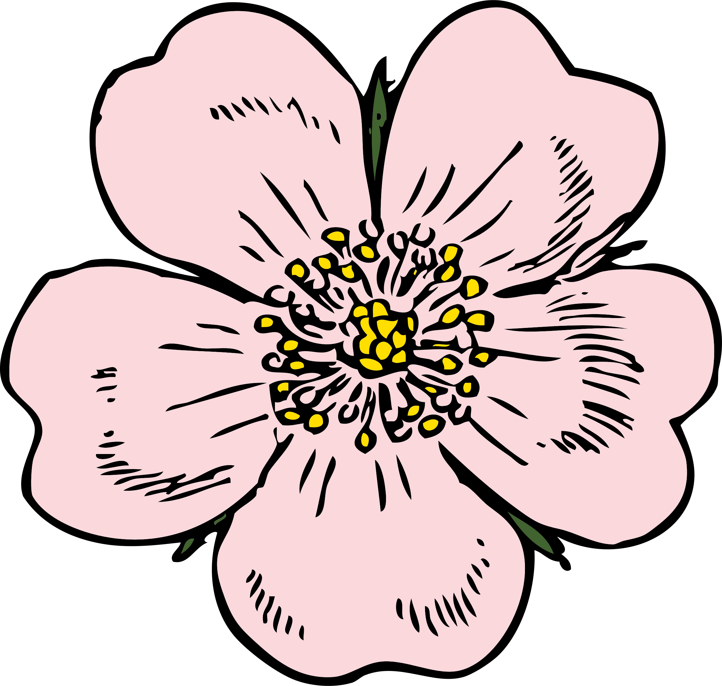 Big Image - Wild Rose Clip Art (2400x2280)