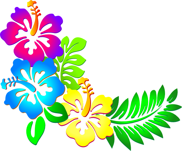 Hibiscus Clipart Wallpaper - Hawaiian Flower Border Png (600x499)