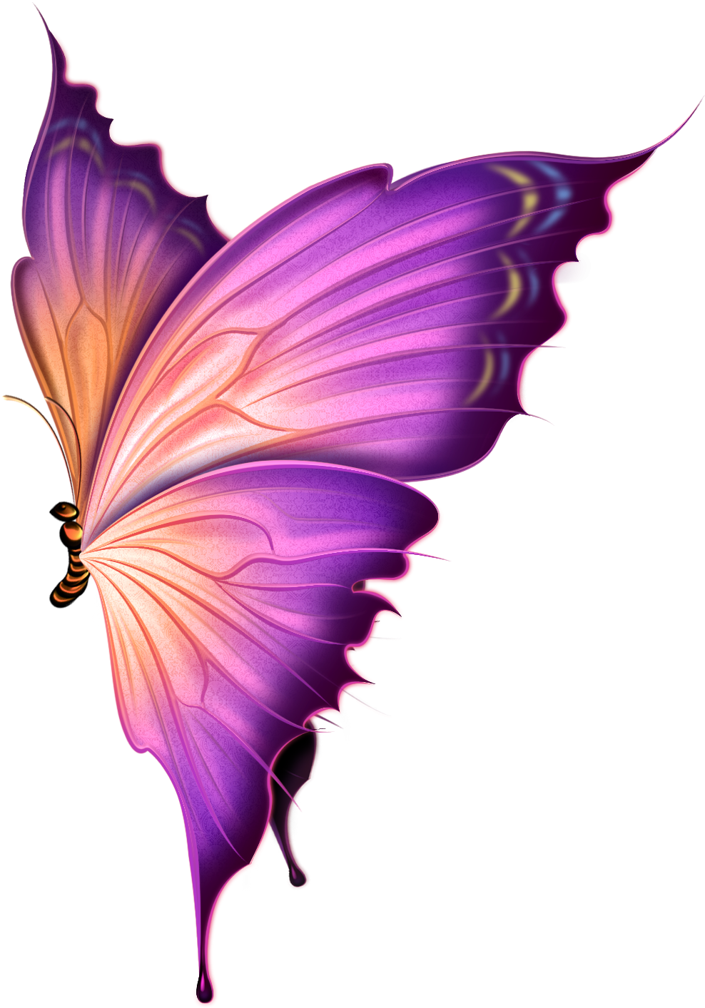 Картинки image png
