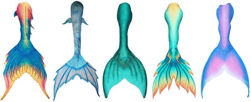 Best Silicone Mermaid Tails - Siren Tail (800x325)