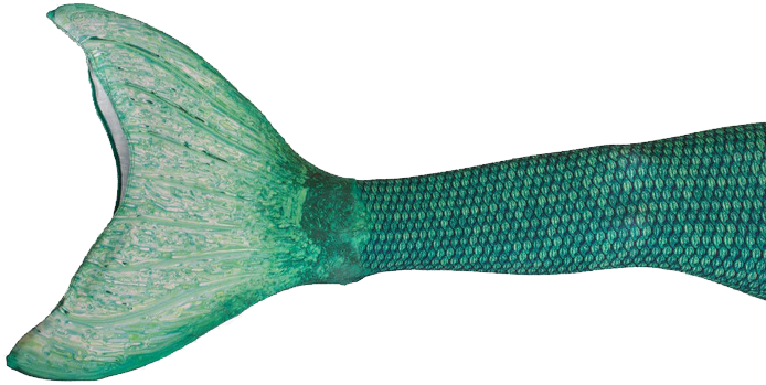 Mermaid Tail Green Png Picture - Mermaid Tail Transparent Background (726x384)