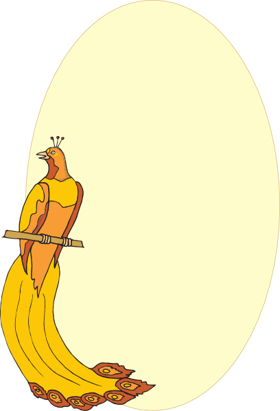 Bingkai Foto Burung (500x733)
