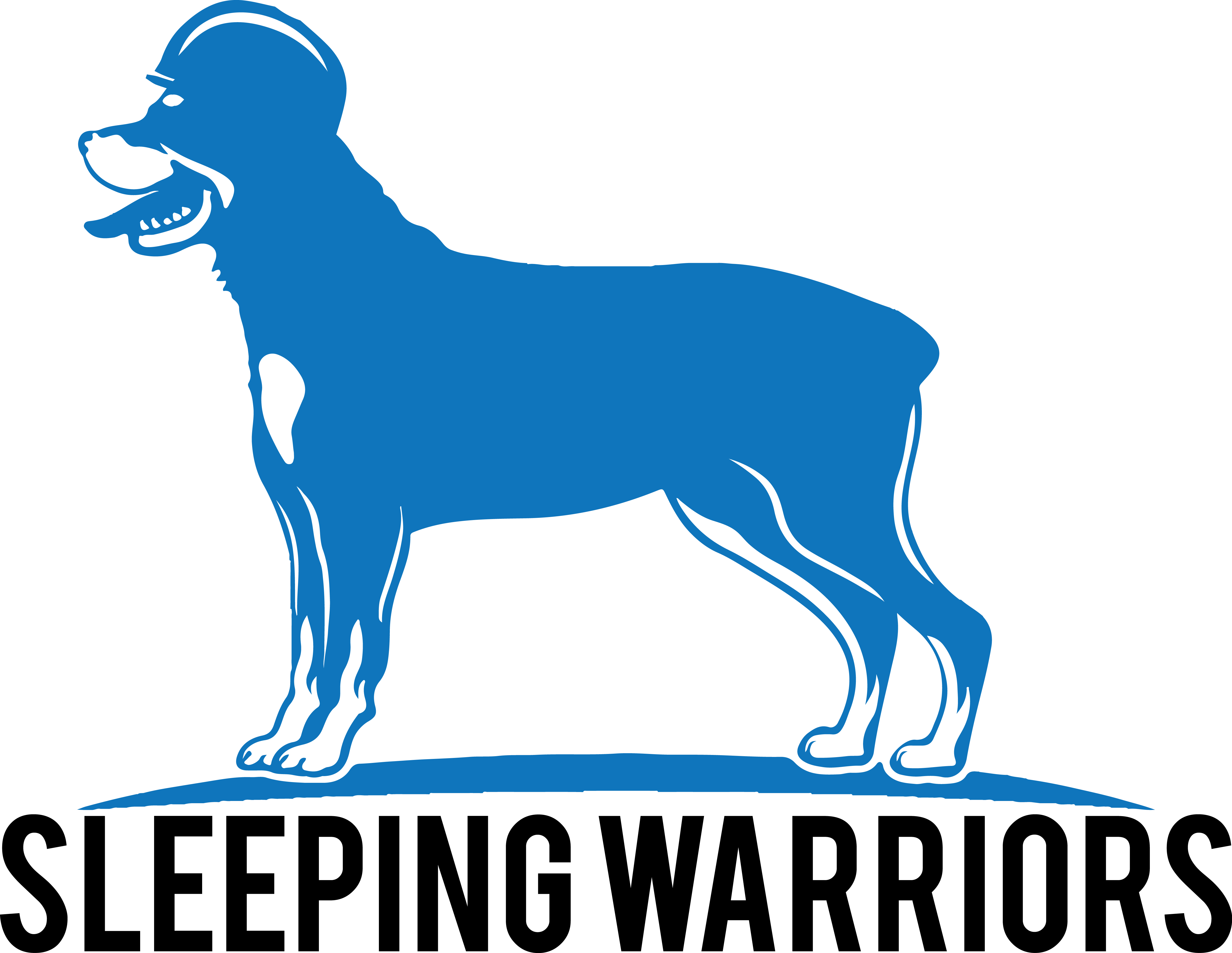 Sleeping Bag Warm 350g Filling & Breathable, Ideal - Companion Dog (4949x3830)