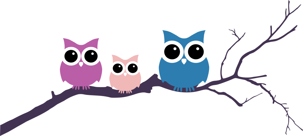 Three Owls Tree Branch - Three Owls On A Branch (1000x450)