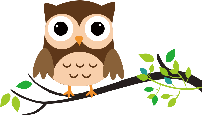 Owl Drawing Cartoon Clip Art - Owl Cartoon (800x660)