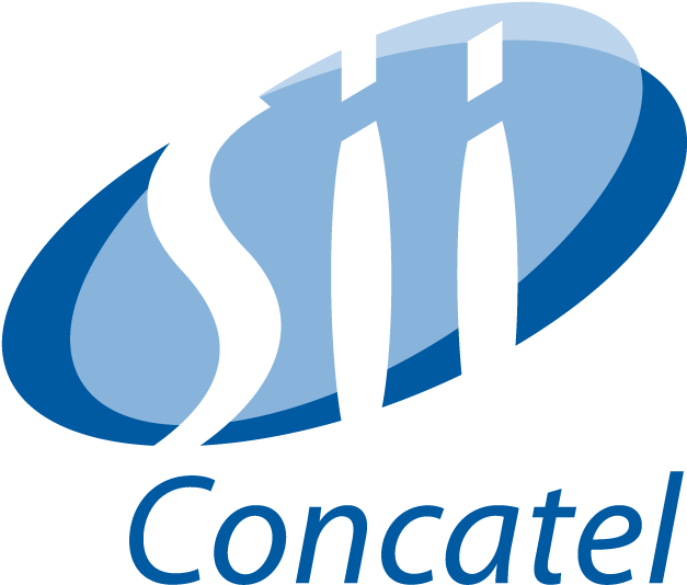 Sii Concatel Is The Presence Of The Sii Group In Spain - Sii Concatel (637x544)
