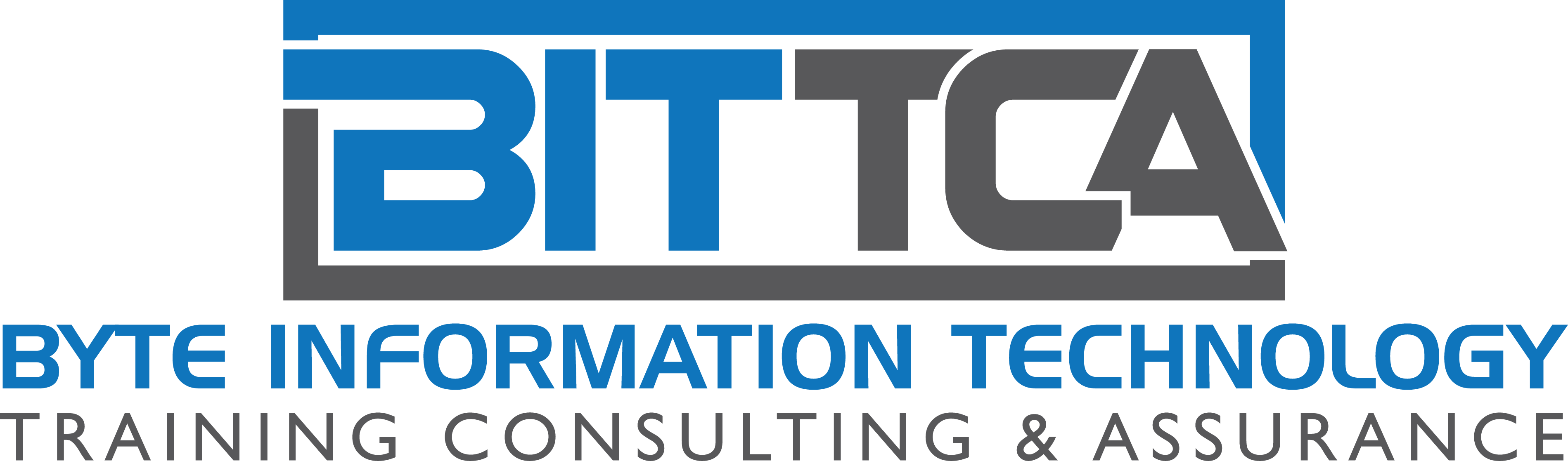 Training, Consulting & Assurance - Vulnerability Assessment (3798x1118)