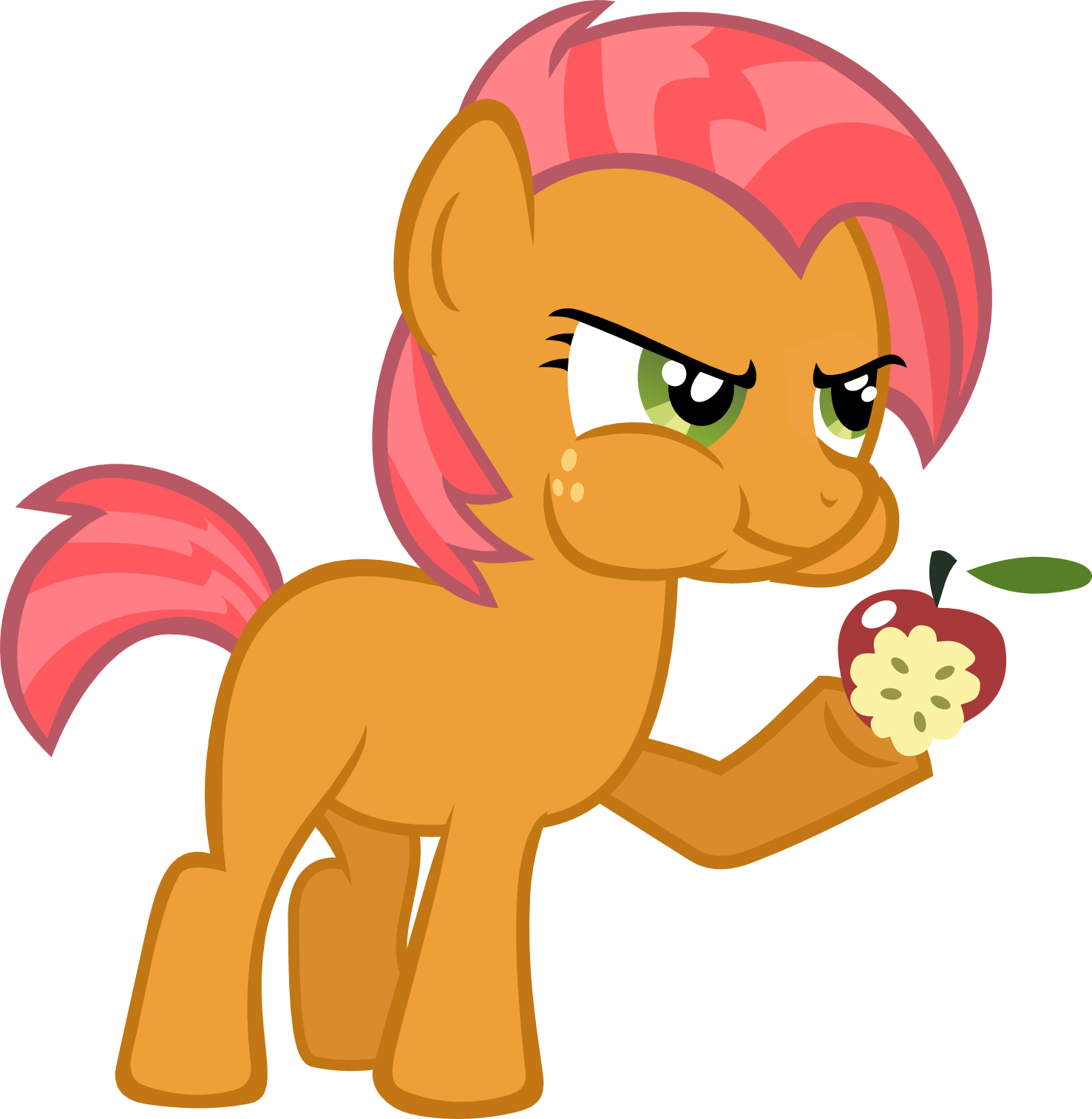 My Little Pony Friendship Is Magic Fans Which Cutie - My Little Pony: Friendship Is Magic (1477x1513)