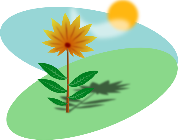 Plant Sunlight Computer Icons Clip Art - Basic Needs Of Plants (600x474)