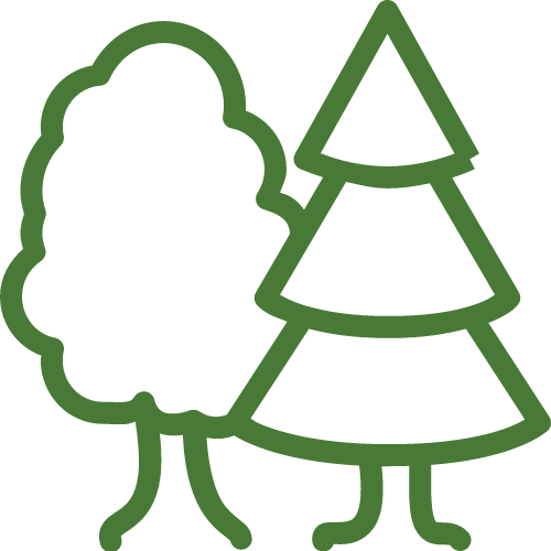 Tree Care Options - Drainage (500x500)