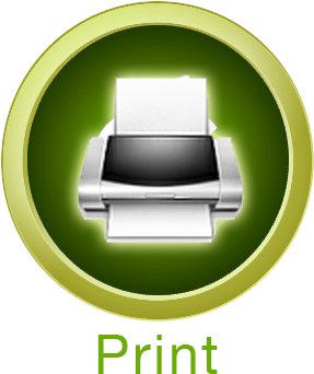 Print Button Icon - Print Button Icon Png (320x396)