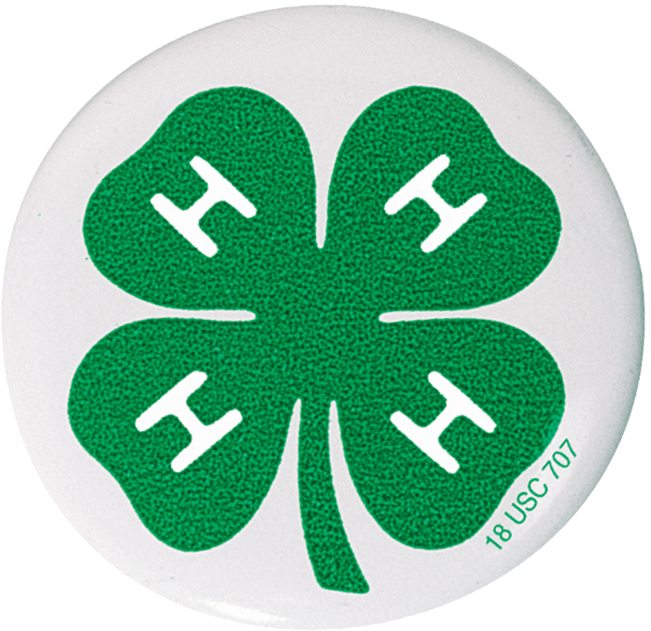 4-h Clover Button - Ffa And 4 H (1028x1028)