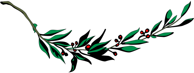 Branch Laurel Leaf Leafy Leaves Plant Bran - Coat Of Arms Of Cuba (680x340)