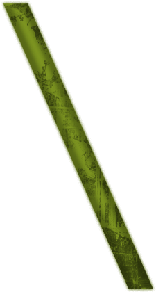 Back Slash Icon Icons Etc - Plant Stem (512x512)