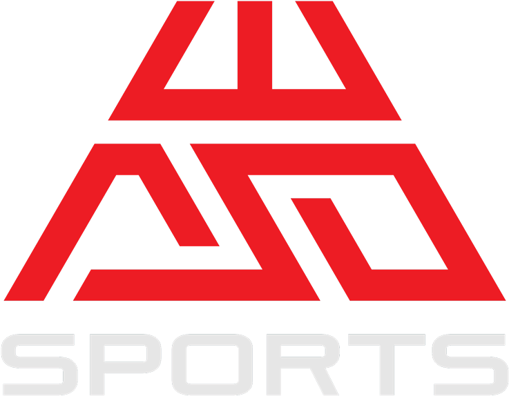 Team Info - Esports (960x960)