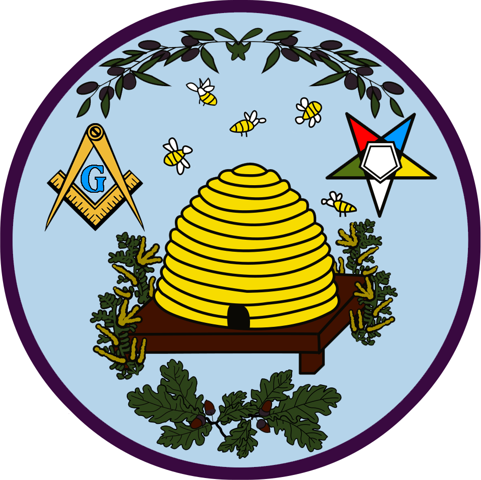 Nellie Fernandez, Worthy Matron - District 2 Masonry Twin Duvet (960x959)